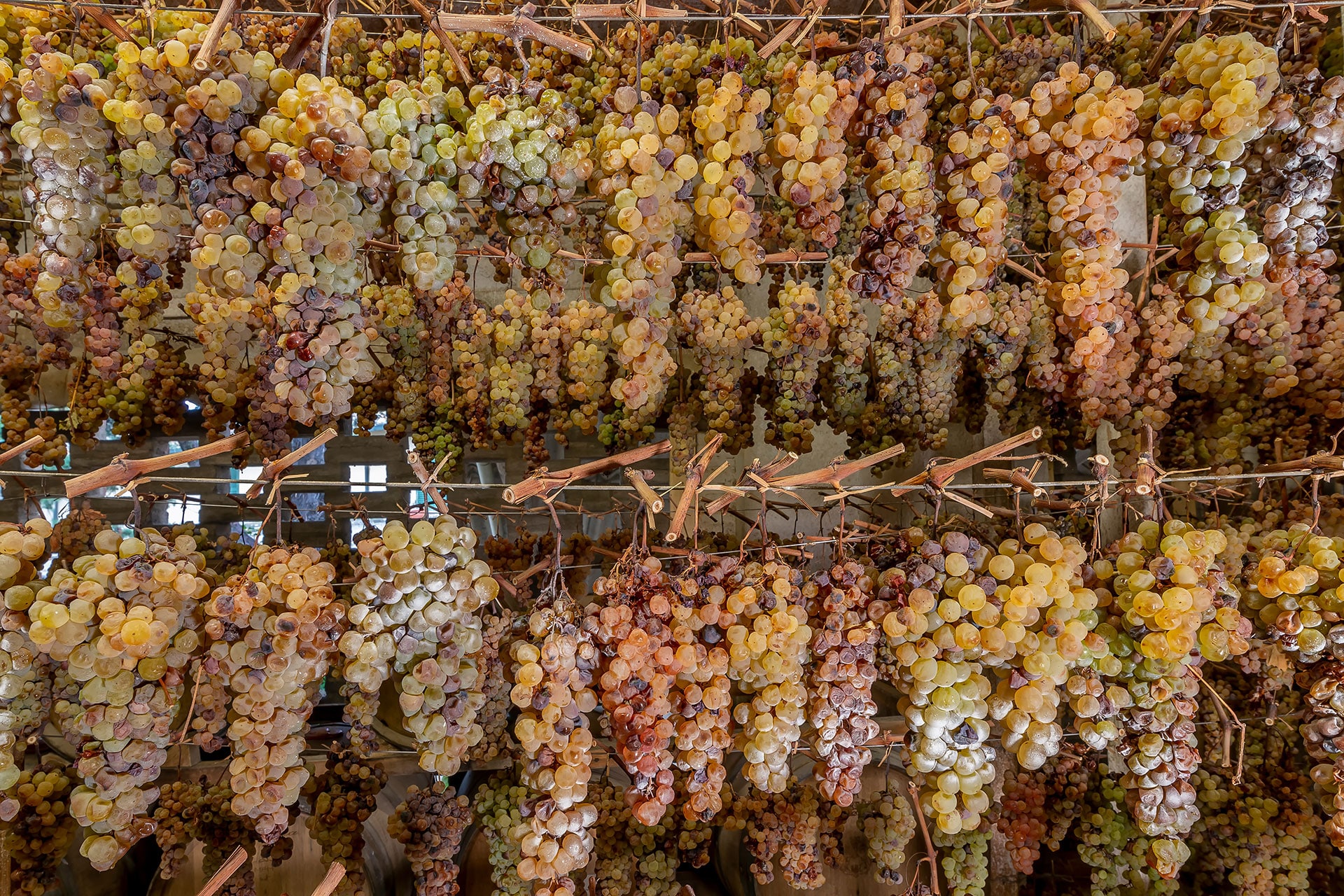 vin-santo-san-quirico-winery.jpg